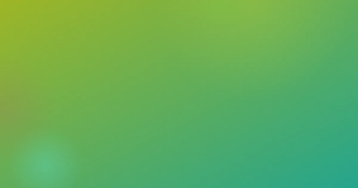 播放黄色一级片测评：六个常见坑